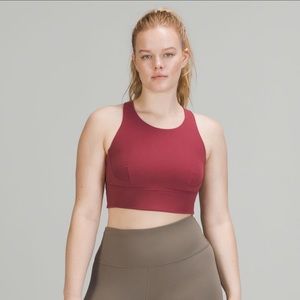 Wunder Train Long-Line Bra (size 6)